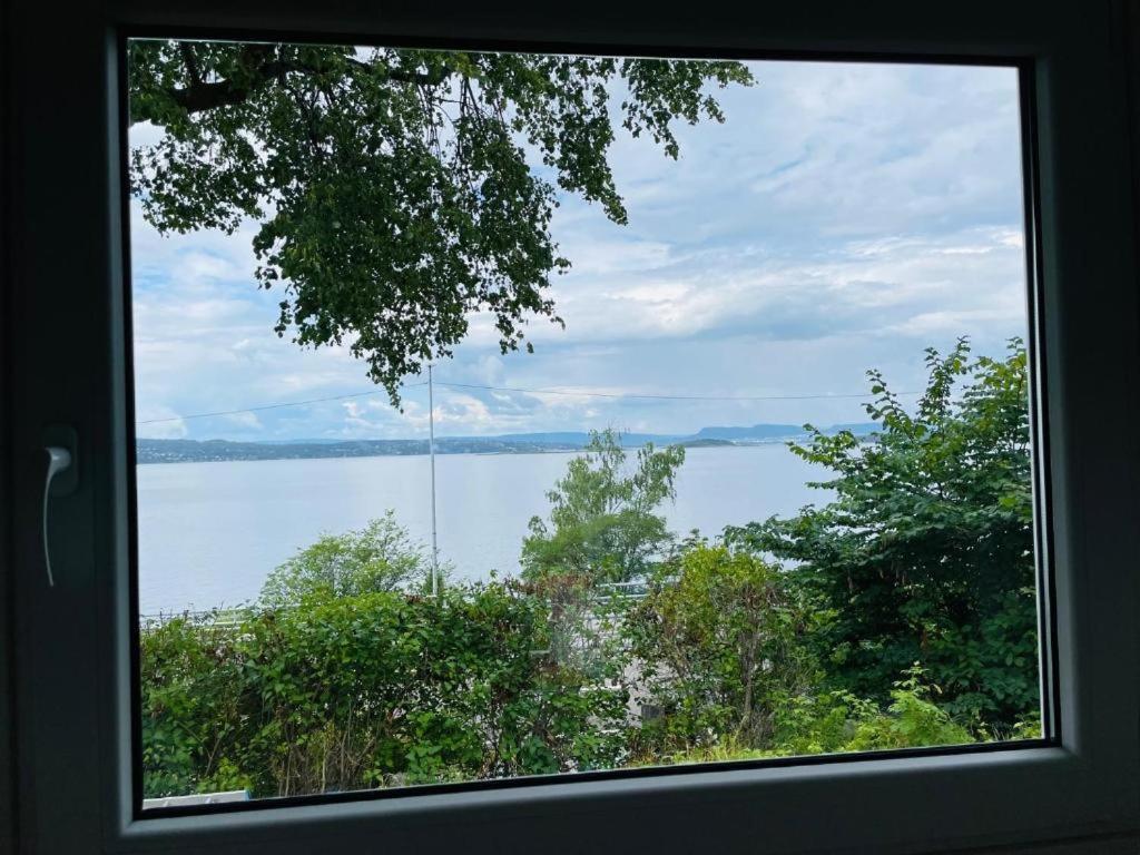 Nice Apartment With1 Bedroom Separate Living Room With A Sofa Bed And A Tiny Kitchen A Bathroom Located In Nordstrand Near By The Sea For 3 Guests With A Garden And Grill 5 Extra Guests With Extra Cost In The Cabin With Sea View Just Outside The Apar أوسلو المظهر الخارجي الصورة
